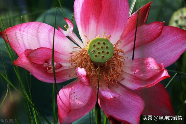 命运如同手中的掌纹,无论多曲折,终究掌握在自我手中