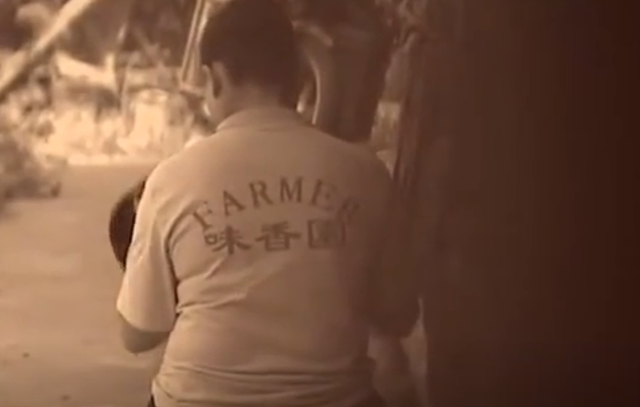 2014年,美女拒绝上司求爱后被对方老婆报复剪双乳,后来如何