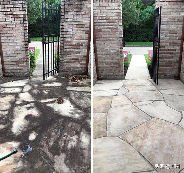 一组精彩照片:丹麦漂亮的超胖女模特,属于非洲山魈的写真镜头