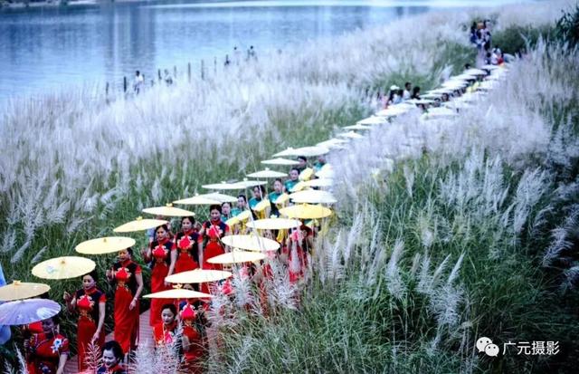 广元女儿节. 美女丨女儿美,盛世舞翩跹