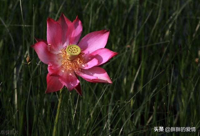 命运如同手中的掌纹,无论多曲折,终究掌握在自我手中