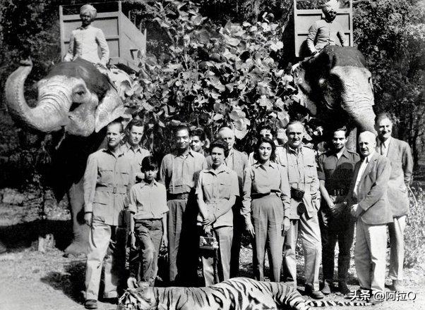 日本侵华施暴照:图6日军随军记者镜头里面的苏州姑娘