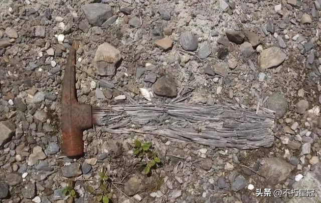 一组精彩照片:丹麦漂亮的超胖女模特,属于非洲山魈的写真镜头