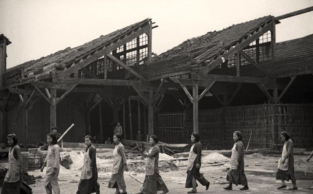 一组精彩照片:丹麦漂亮的超胖女模特,属于非洲山魈的写真镜头