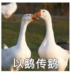 汽车摇号秘诀(粤B中签率02%摇了一年还没中？可以试试这一招)