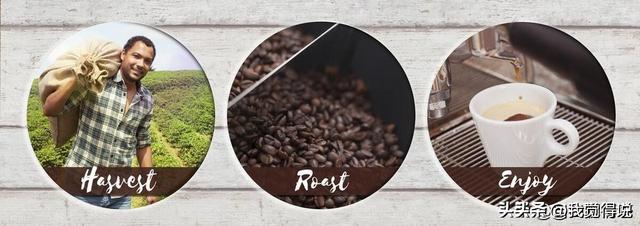 船到越南,船员交往越南富婆美女,逛大学约闺蜜,体验好到难离场