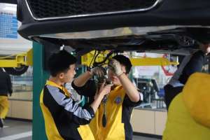 汽车看线(新手上路怎样判断汽车左右距离？)