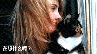 美女,我想知道你是怎么躺进去的