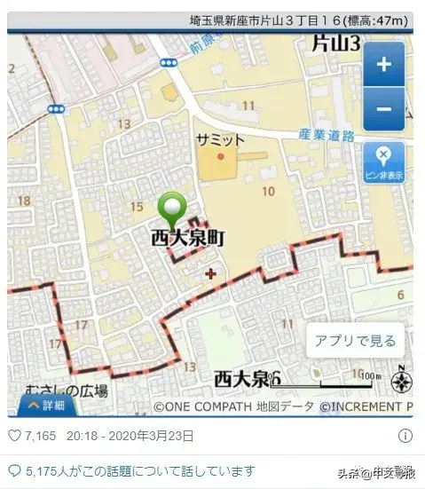 全球最大都市美女知事发“狠话”:再乱跑,就封城