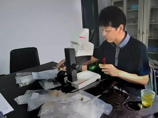 壹闻:古墓里发现南宋时期“小美女” 姿态仪容栩栩如生