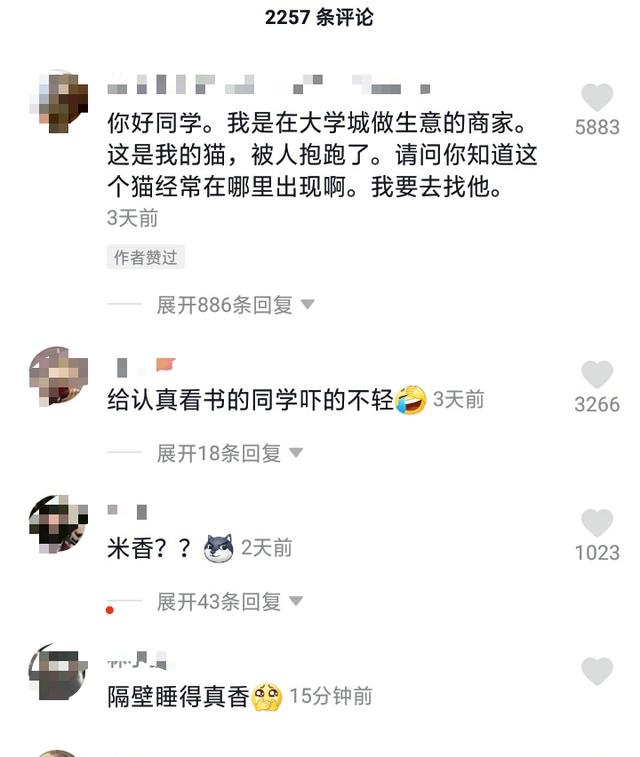 安徽一女大学生上课玩手机,被一只黑猫“抓现行”!网友:黑猫警长来了