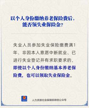 以个人身份缴纳养老保险费后，能否领失业保险金？一图了解