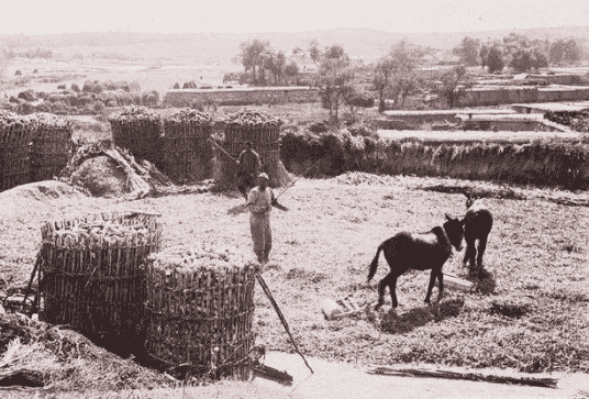 日本侵华施暴照:图6日军随军记者镜头里面的苏州姑娘