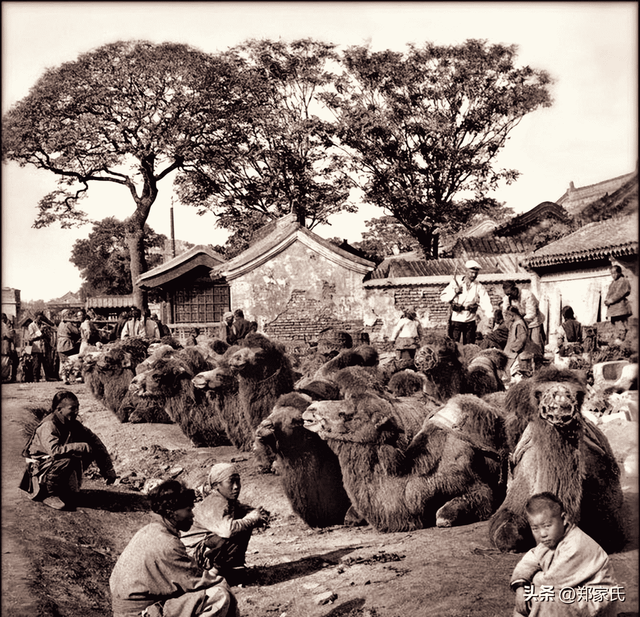 日本侵华施暴照:图6日军随军记者镜头里面的苏州姑娘