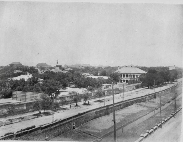 一组精彩照片:丹麦漂亮的超胖女模特,属于非洲山魈的写真镜头