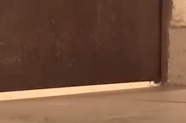 2014年,美女拒绝上司求爱后被对方老婆报复剪双乳,后来如何