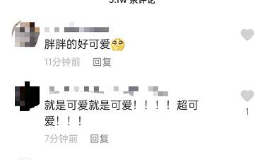 细节见人品,一微胖女孩晒写真照遭网友群嘲,杨超越评论区这样回复不要太暖