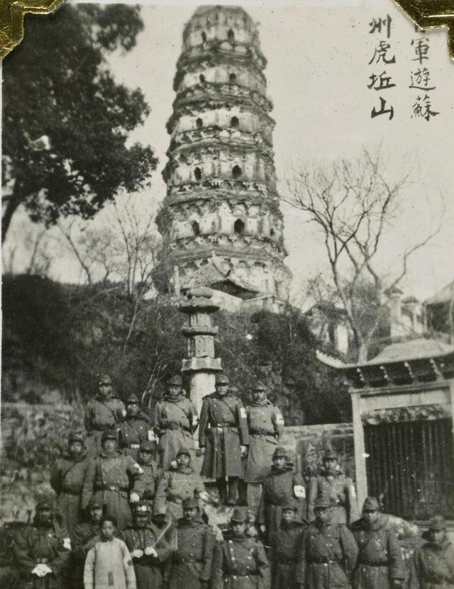 一组精彩照片:丹麦漂亮的超胖女模特,属于非洲山魈的写真镜头