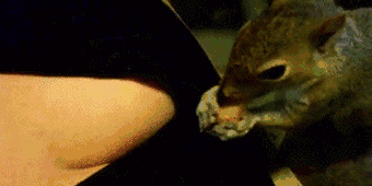 美女,我想知道你是怎么躺进去的