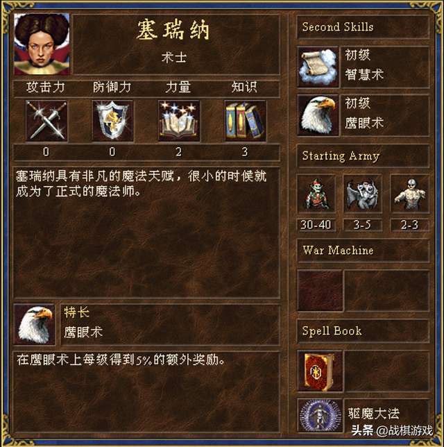 英雄无敌3佳丽英雄选美大赛