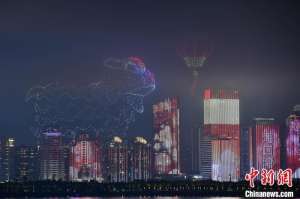 （新春走基层）科技艺术与千年民俗交融 海口元宵“花”样绽放