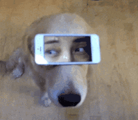 美女,我想知道你是怎么躺进去的