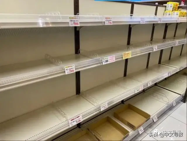 全球最大都市美女知事发“狠话”:再乱跑,就封城