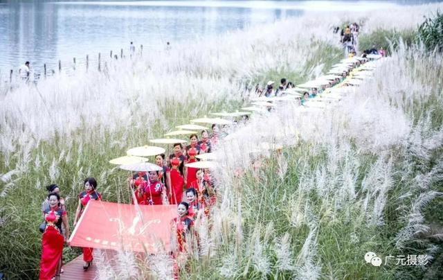 广元女儿节. 美女丨女儿美,盛世舞翩跹