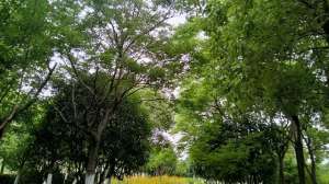 喜善财富半价汽车(内卷内耗严重，怎么办？别怕只要思想不滑坡，方法总比困难多)