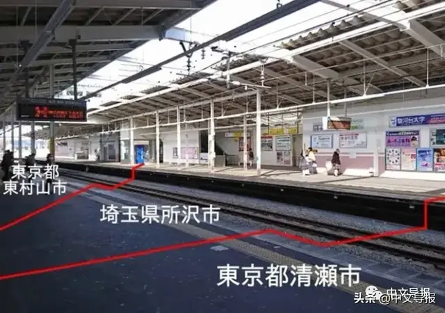 全球最大都市美女知事发“狠话”:再乱跑,就封城