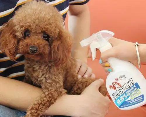 养宠物的注意,这5样东西能除味,再也不用为狗狗臭味发愁了