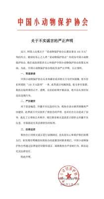 中国小动物保护协会严正声明：从未和潘宏有任何接触