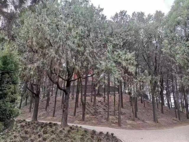 孙膑攻城示弱，魏冉长眠于此，战国时东西方强国都看重的安陵