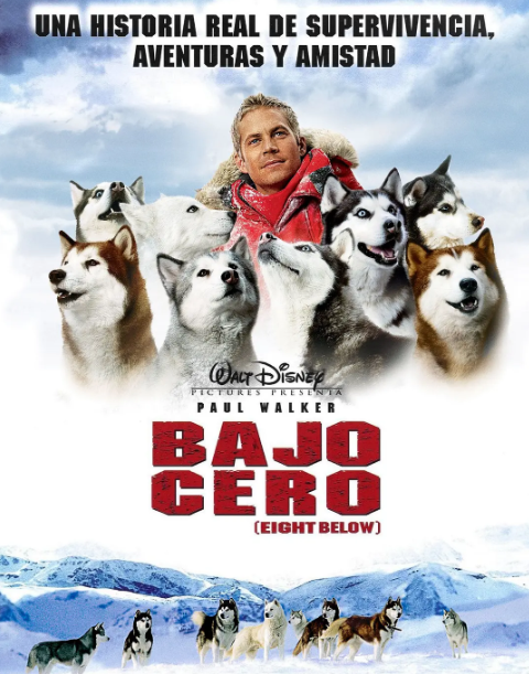 强烈推荐5部“冰川电影”,冰雪爱好者必看系列