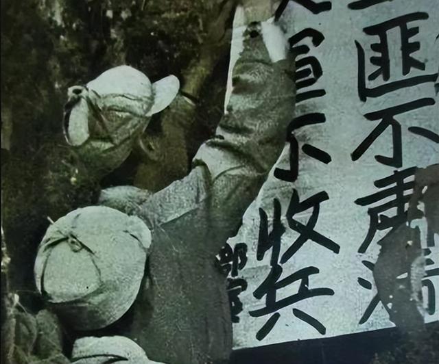 湘西剿匪实录：惊心动魄的谈判背后，土匪头子为何最终难逃一死？