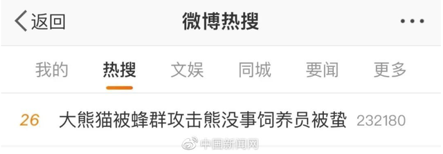 天选倒霉熊“缘小”又上热搜了,网友笑盘“黑历史”