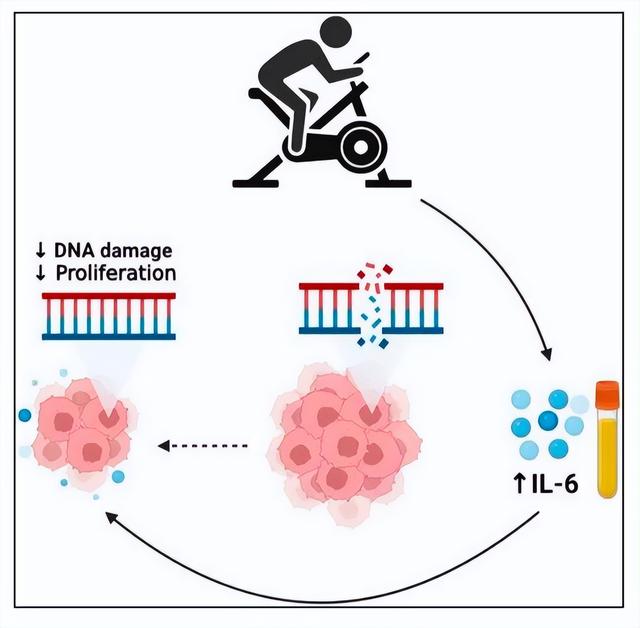 运动抗癌“实锤”!肿瘤专家推荐:最好的抗癌运动,并非走路跑步