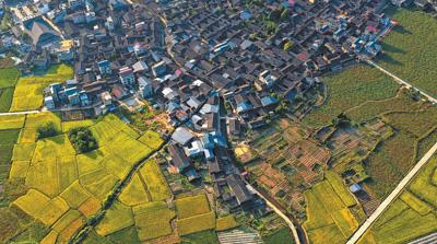 茶香飘出万里悠扬（走进传统村落）