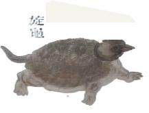 武宏：那种无拘无束的力量 让我一直向往并为之不断追求