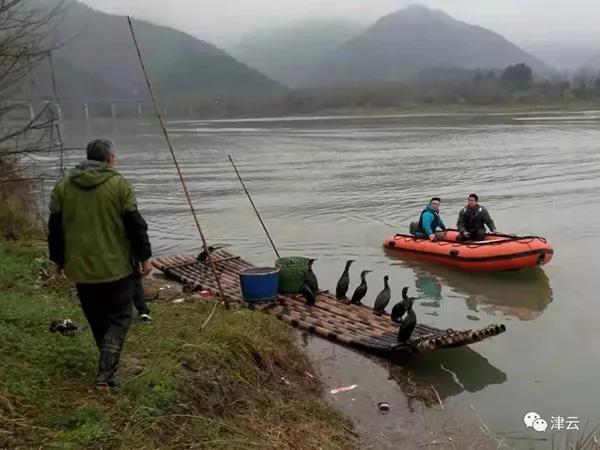 妻女遗体已找到，浙江“开车过溪”男子后悔了
