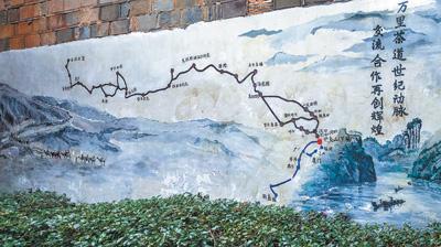 茶香飘出万里悠扬（走进传统村落）