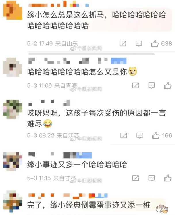 天选倒霉熊“缘小”又上热搜了,网友笑盘“黑历史”