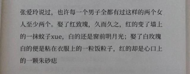 《白月光与朱砂痣》