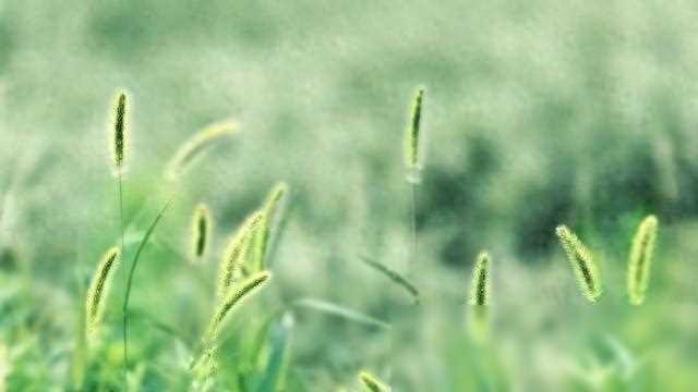 夫妻在床上恩爱的 5 个姿势 夫妻要三戒