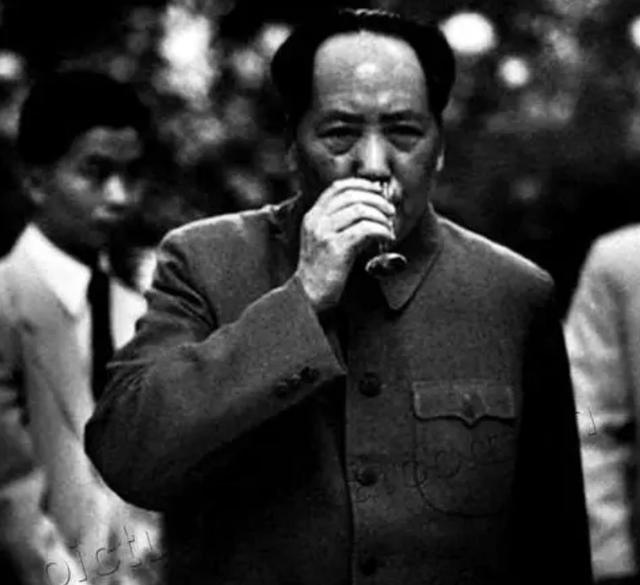 谁接替林帅为115师师长？两个命令只差几小时，让罗荣桓失之交臂