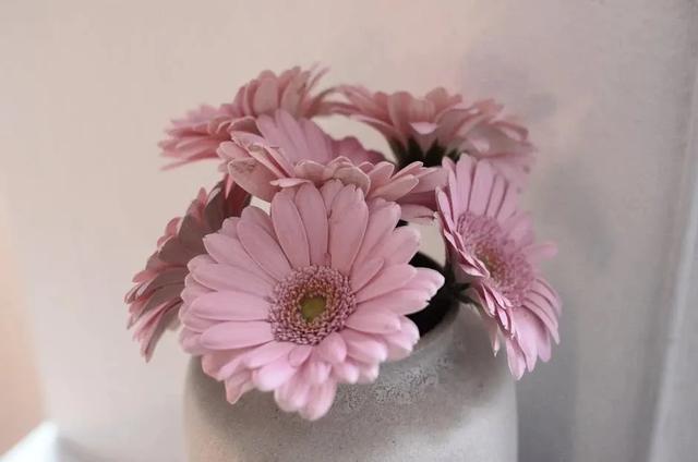 一个男人发自内心把你当“宝贝老婆”，会有的表现：一个字