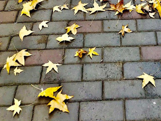 神仙会（怪味散文）