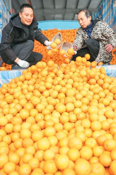 备好养生经 健康过大年