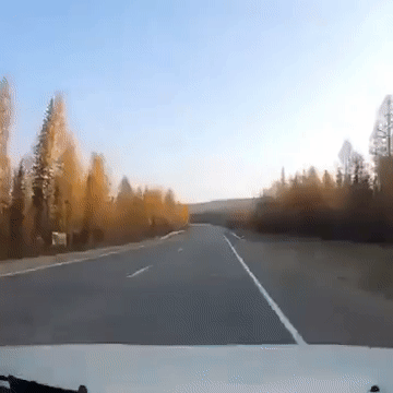 公司新来的女员工不仅身材好，工作能力也强，每次老板出差都带她