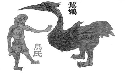 武宏：那种无拘无束的力量 让我一直向往并为之不断追求